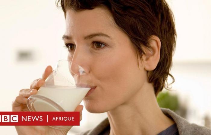 Un verre de lait par jour réduit le risque de cancer de l’intestin – étude