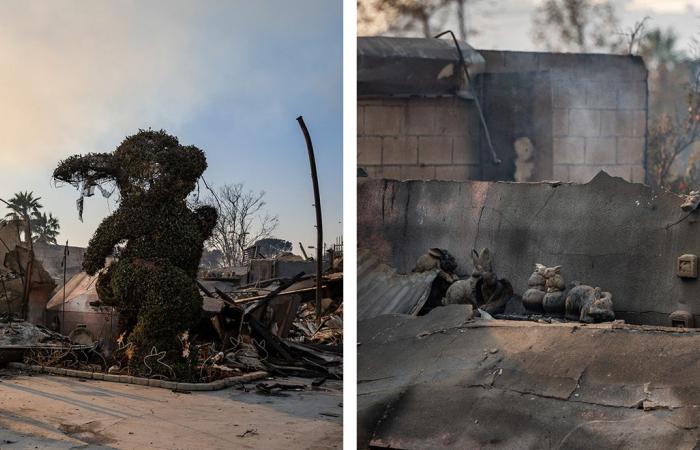 Faire à nouveau état des incendies de forêt à travers le chagrin, la communauté et le scepticisme