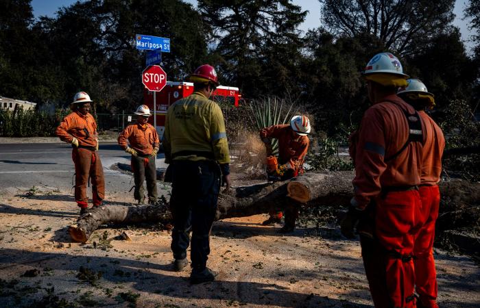 Faire à nouveau état des incendies de forêt à travers le chagrin, la communauté et le scepticisme