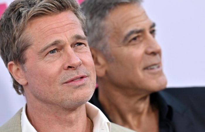 Pensant avoir une liaison avec Brad Pitt, une femme se fait retirer 830 000 euros