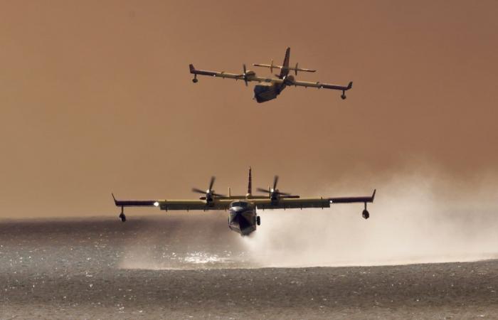 Découvrez comment les incendies de Los Angeles ont détruit les quartiers