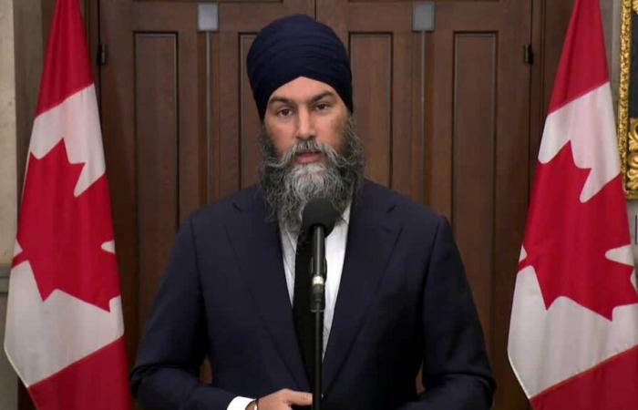 Singh appelle à arrêter la vente de minéraux essentiels