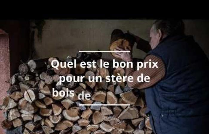 Quel est le juste prix du mètre cube de bois de chauffage en début d’année ?