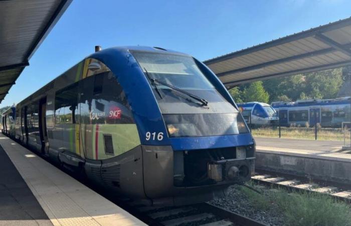 Moselle. Faute de trains, les TER Strasbourg-Sarrebruck s’arrêtaient régulièrement à la frontière