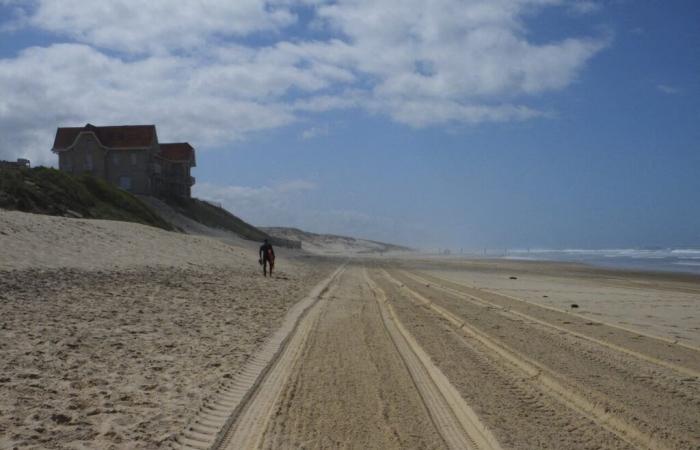 Landais. Plusieurs accès aux plages de Biscarrosse ferment, voici la raison