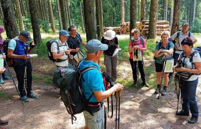 Bas-Rhin. Formation en mars et septembre pour devenir accompagnateur randonnée