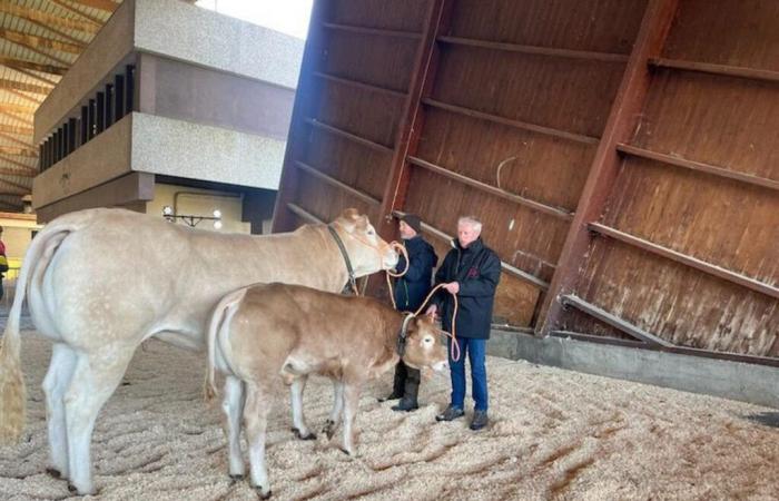 soixante blondes en compétition ce lundi dans le Lot-et-Garonne