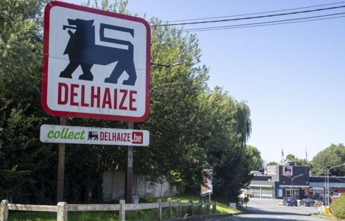 Delhaize annonce l’acquisition de 325 magasins Louis Delhaize