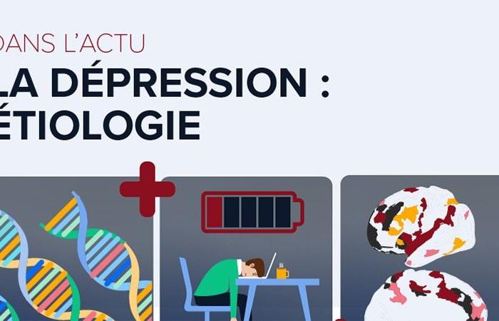 facteurs contribuant à la dépression