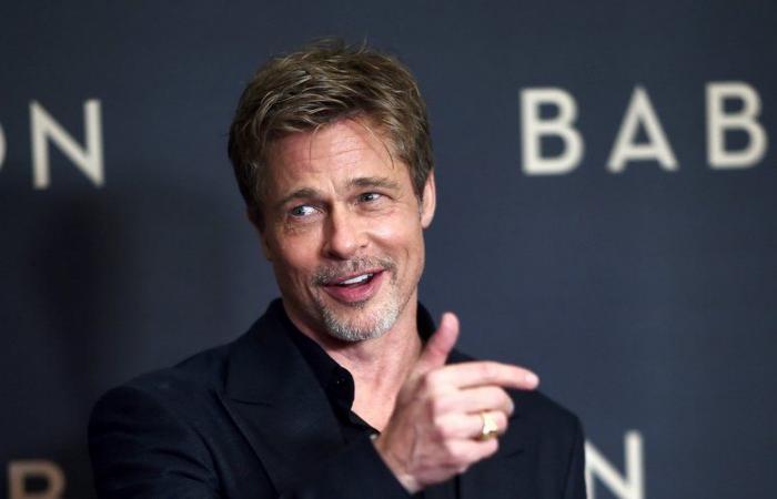 amoureuse d’un faux Brad Pitt sur les réseaux sociaux, une Française se fait arnaquer de 830 000 euros