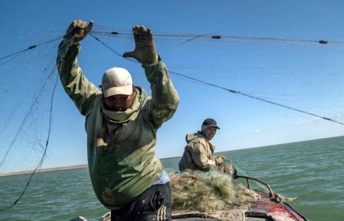 La mer d’Aral, autrefois condamnée, renaît au Kazakhstan