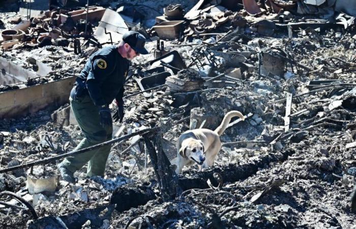 Un pilleur déguisé en pompier arrêté à Los Angeles