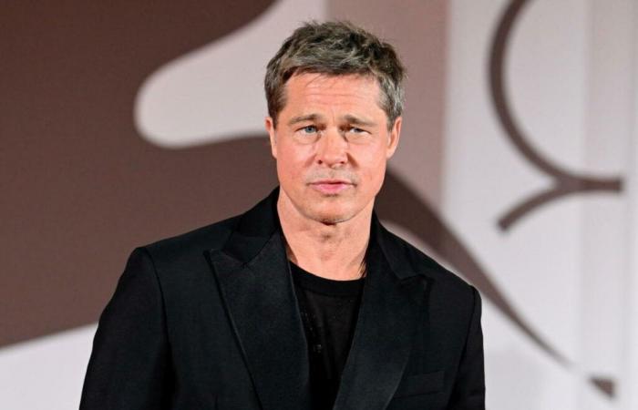 Elle s’est fait escroquer de 830 000 euros alors qu’elle pensait parler à Brad Pitt