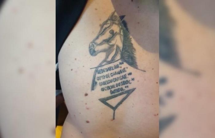 Il gagne 315 000 euros au PMU et a la finition tatouée sur le dos. Sport