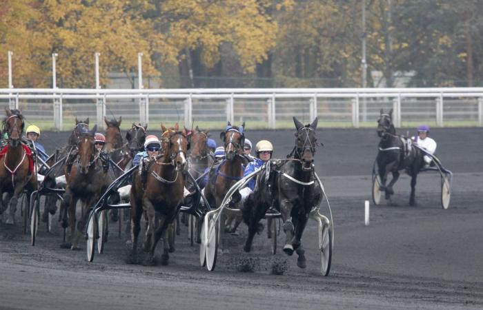 Les pronostics du Quinté de Paris-Vincennes du mardi 14 janvier 2025 par Jack Vautrin