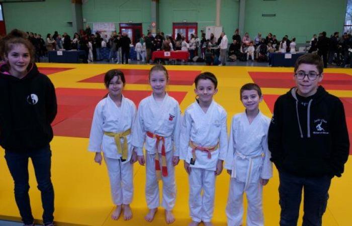 Début d’année en fanfare pour le Judo Club – Le Petit Journal