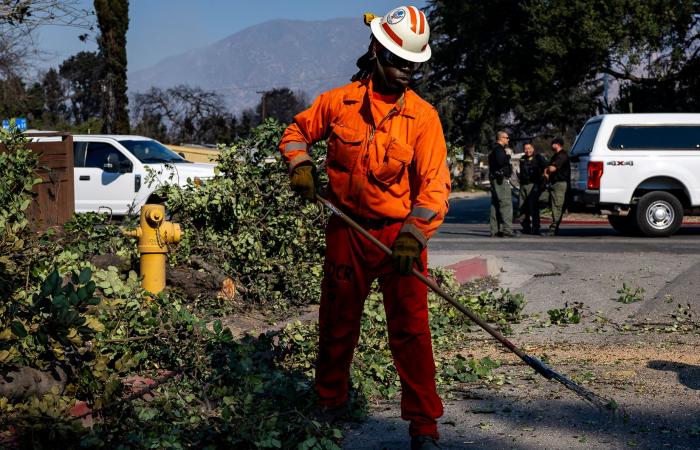 Faire à nouveau état des incendies de forêt à travers le chagrin, la communauté et le scepticisme