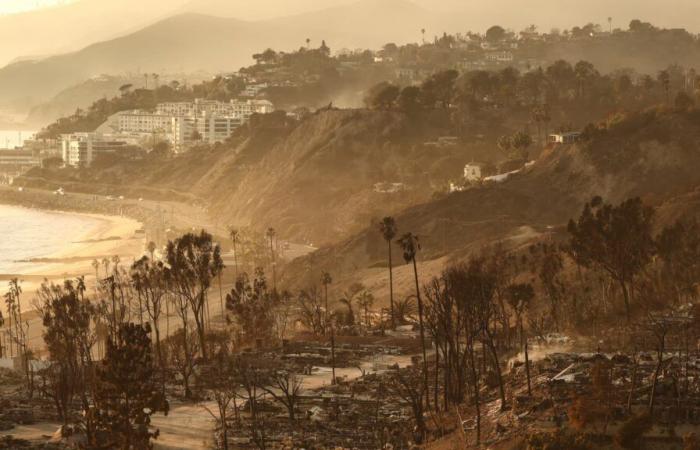 Incendies à Los Angeles