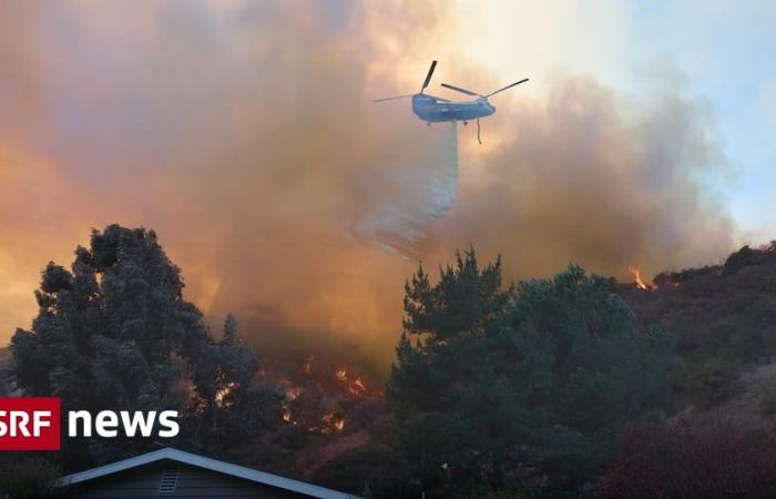 Feux de forêt sur la côte ouest américaine – 24 morts dans des incendies à Los Angeles – inquiétudes face à de nouveaux vents – Actualités