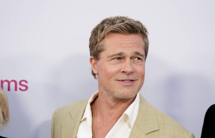 Un quinquagénaire arnaqué par un faux Brad Pitt, 830 000 euros de dommages