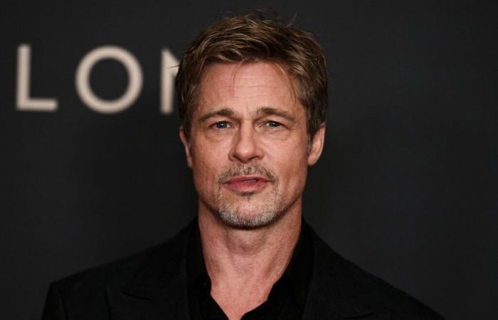 Comment Anne, 53 ans, s’est fait escroquer de 830 000 euros par un faux Brad Pitt