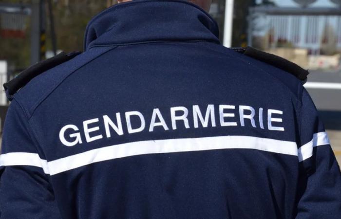 disparition d’une jeune fille de 15 ans, un appel à témoins lancé