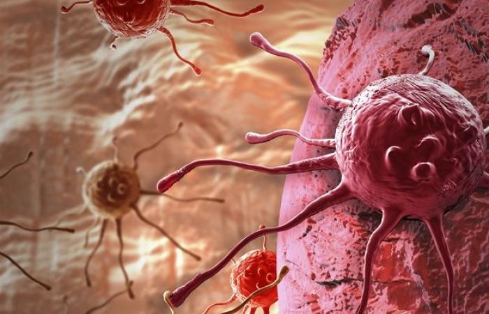 Un nouveau cocktail de médicaments améliore les cellules CAR-T pour le traitement du cancer