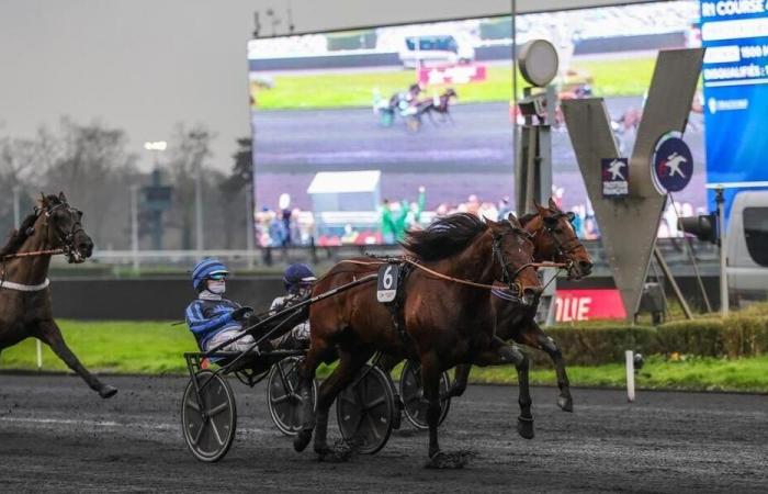 Prix ​​d’Amérique. Onze des quinze chevaux qualifiés pour l’édition 2025 sont originaires de l’Ouest.