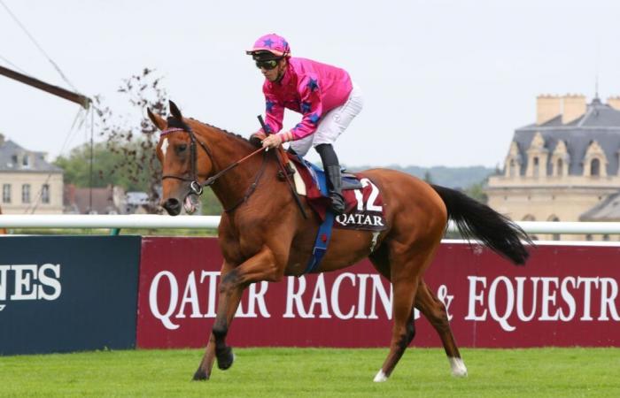 Retour attendu d’Arrow Eagle à Cagnes