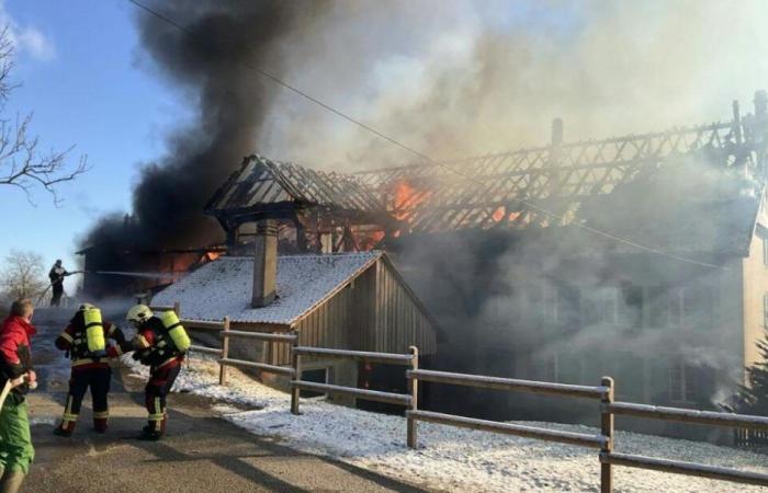 Incendie d’une ferme à Peney-le-Jorat (VD) : 30 bovins tués