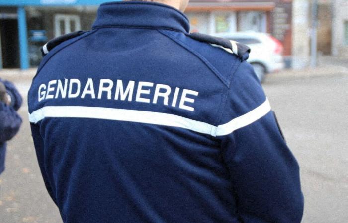 un automobiliste reçoit “la palme de l’inconscience” des gendarmes