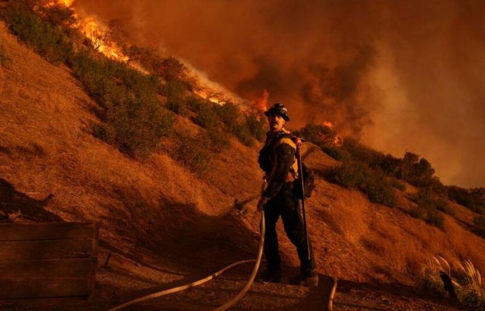 Ce que nous savons sur les incendies dans la région de Los Angeles, les cartes, leurs causes, les personnes touchées et bien plus encore.