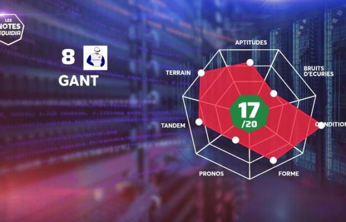 Le billet des partants du Quinté+ de ce lundi 13 janvier