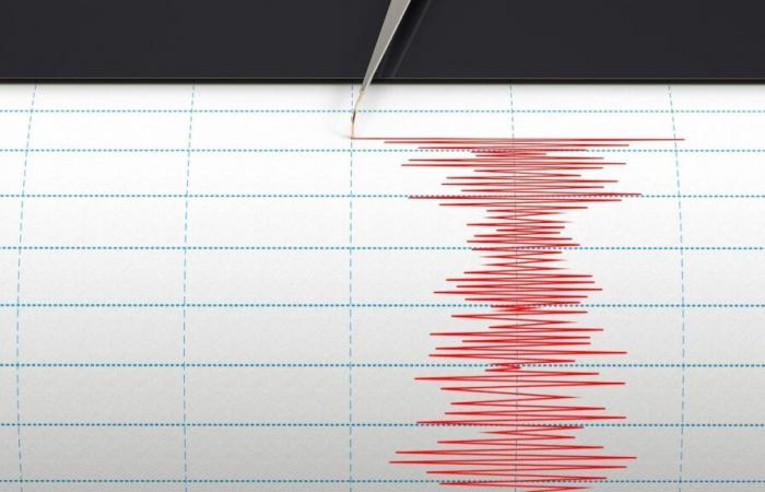 Un séisme de magnitude 6,8 provoque deux petits tsunamis au Japon