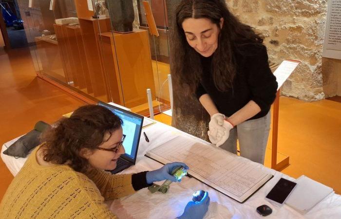 Dans les coulisses du musée Champollion, un grand inventaire des collections est en cours