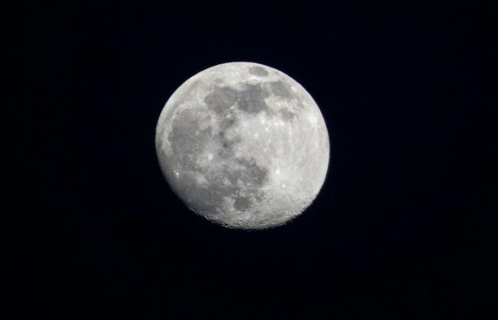 Origine, particularités, surnoms… qu’est-ce que la « pleine lune du loup » visible dans la nuit de lundi à mardi ?