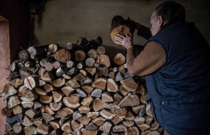 quel est le juste prix pour un mètre cube de bois de chauffage ?