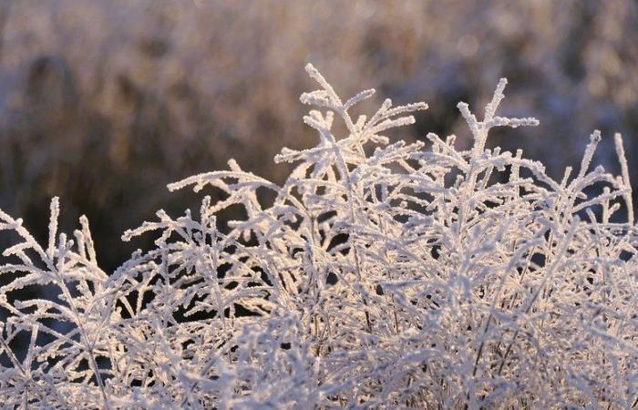 La vigilance « grand froid » s’étend largement en France ce lundi, 34 départements impactés