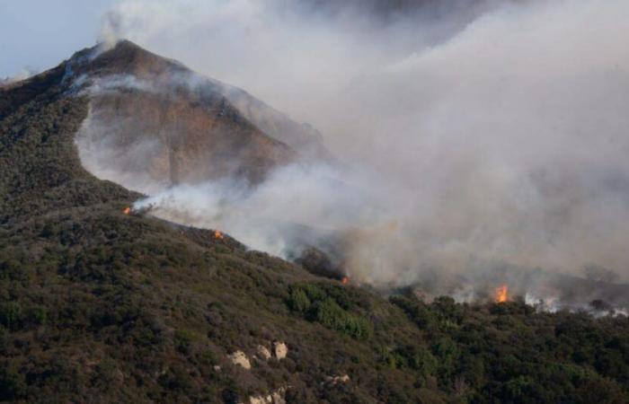 Incendies à Los Angeles. Le bilan grimpe à 24 morts, retour des vents violents… Le point sur la situation