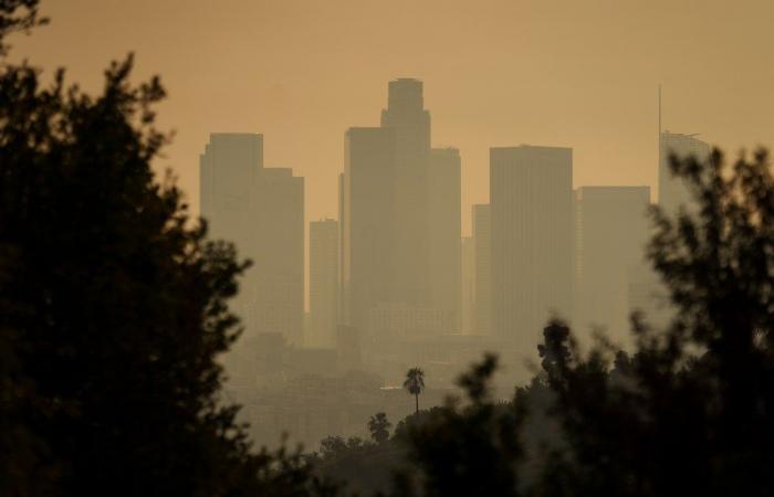 Découvrez comment les incendies de Los Angeles ont détruit les quartiers