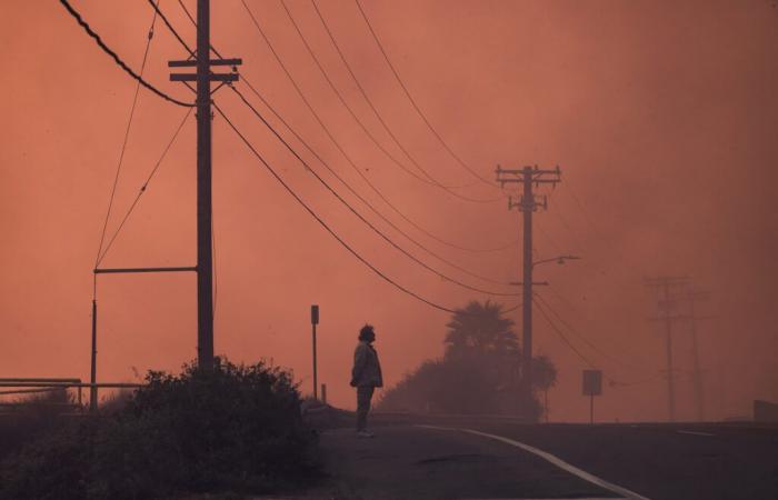 Découvrez comment les incendies de Los Angeles ont détruit les quartiers