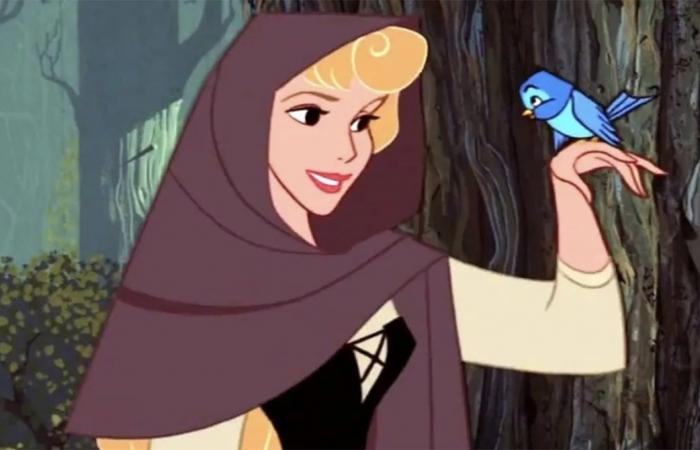 un seul fan aura 15/20 ou plus à ce quiz de culture générale sur les princesses