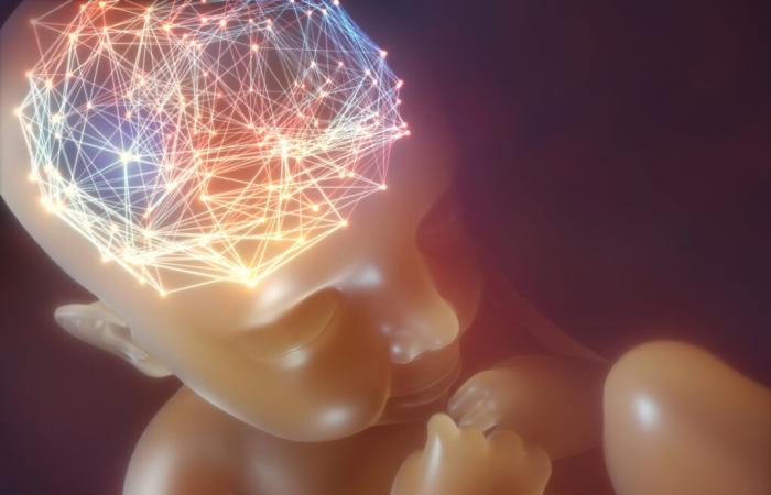 Le cerveau des filles et des garçons diffère dès la naissance