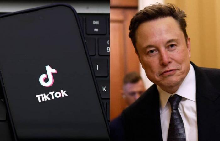 Elon Musk serait en pourparlers pour racheter TikTok