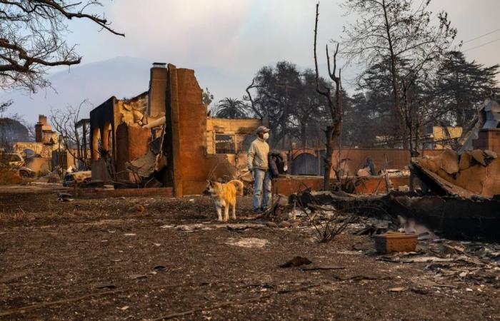 Faire à nouveau état des incendies de forêt à travers le chagrin, la communauté et le scepticisme