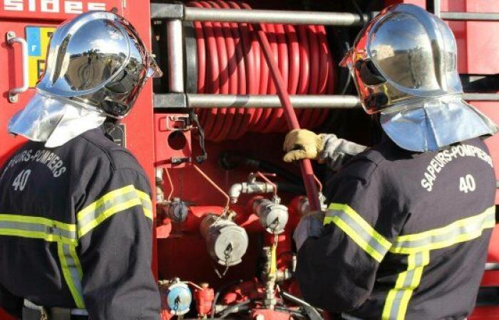 Début d’incendie dans un silo qui contenait de la poussière de bois – Le Petit Journal