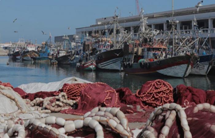 Cap vers la sardine, levier de développement durable et industriel