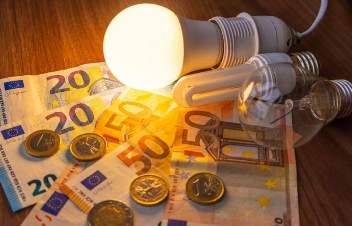 Ces offres d’électricité baisseront leurs prix de 14% au 1er février 2025 !