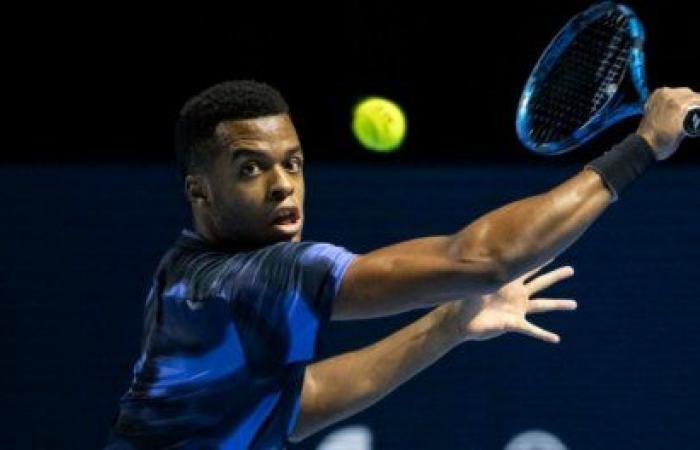 Monfils et Mpetshi Perricard se connaissent (déjà) bien