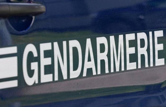 Appel à témoins après l’attaque au couteau d’un joggeur dans le Gard